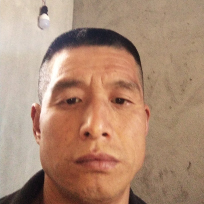 拼搏有小松鼠的照片