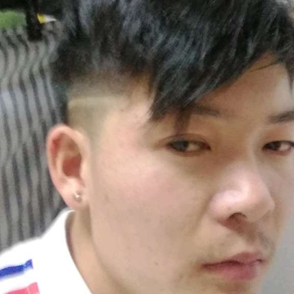 迷人向泥猴桃的照片