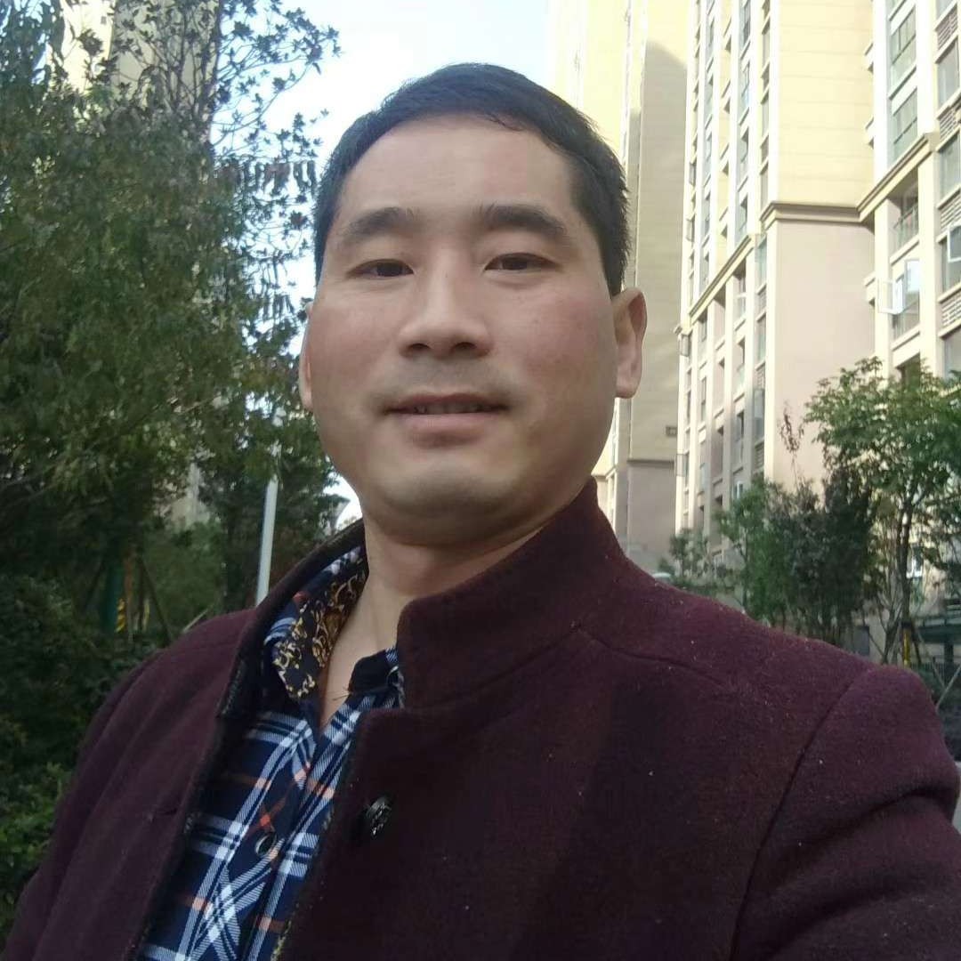 骏马驰骋的照片