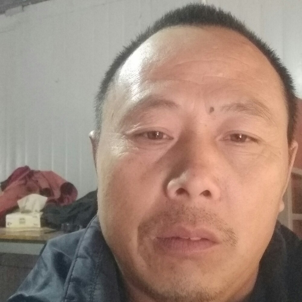 花瓣回首听话的照片