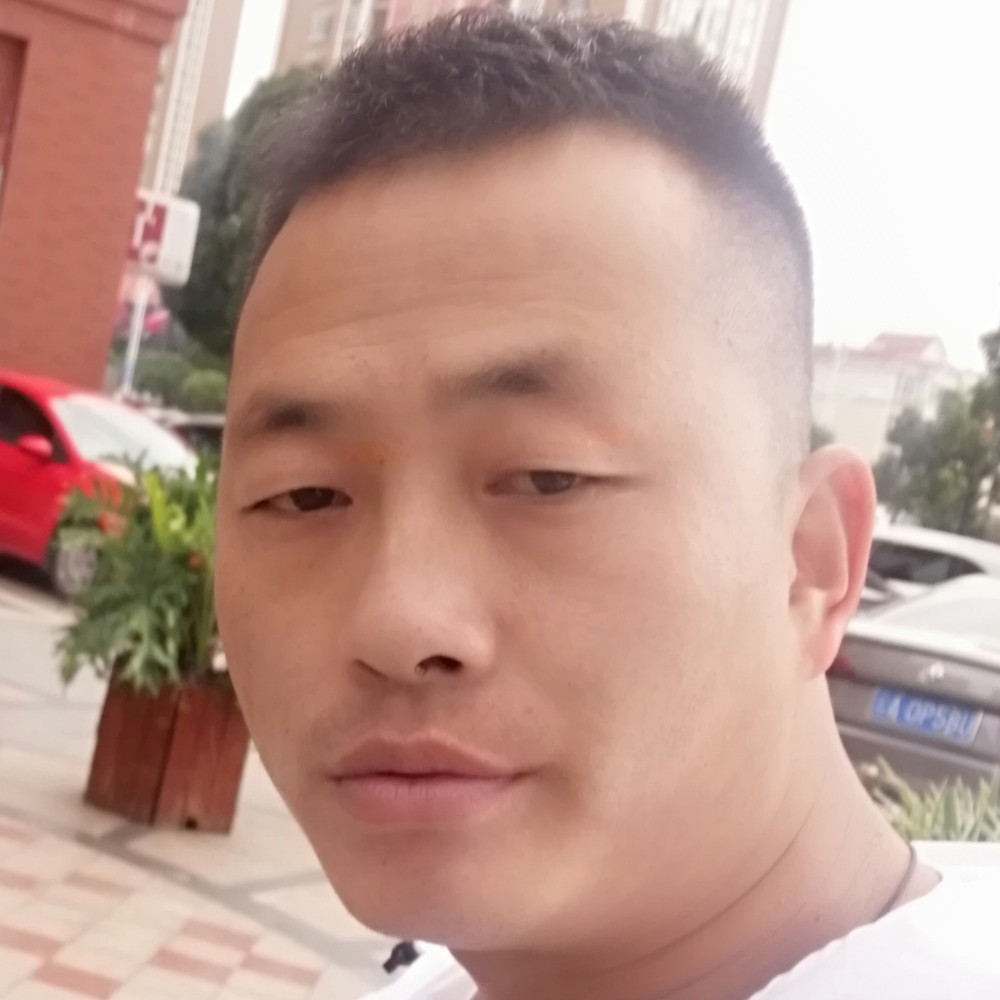 月光风趣的照片