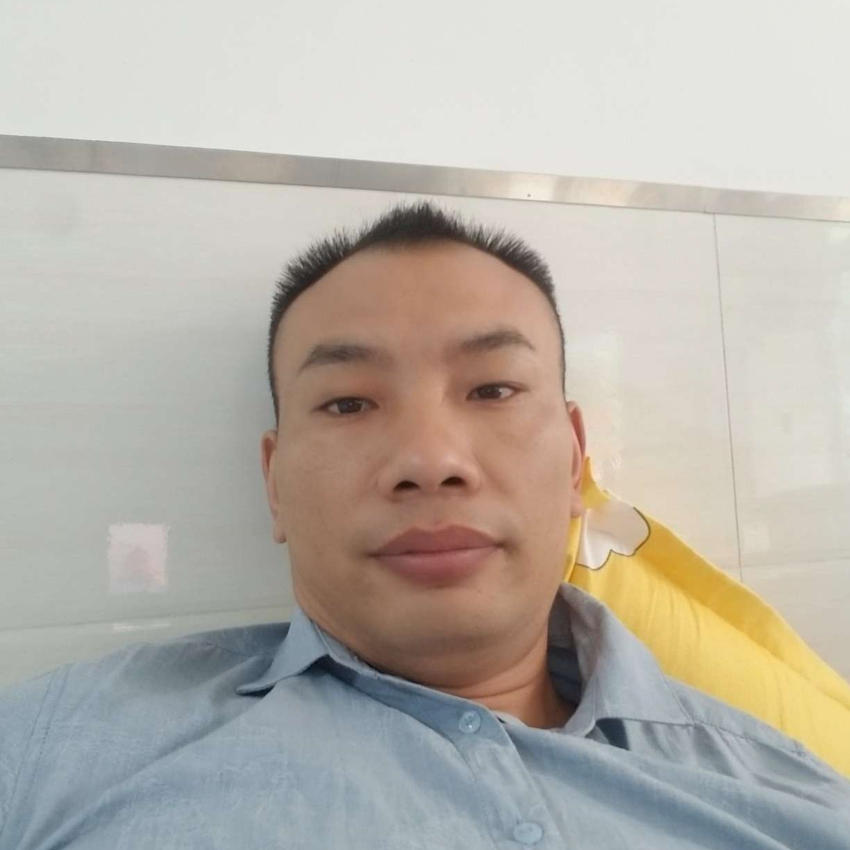 贤惠的小鸽子的照片