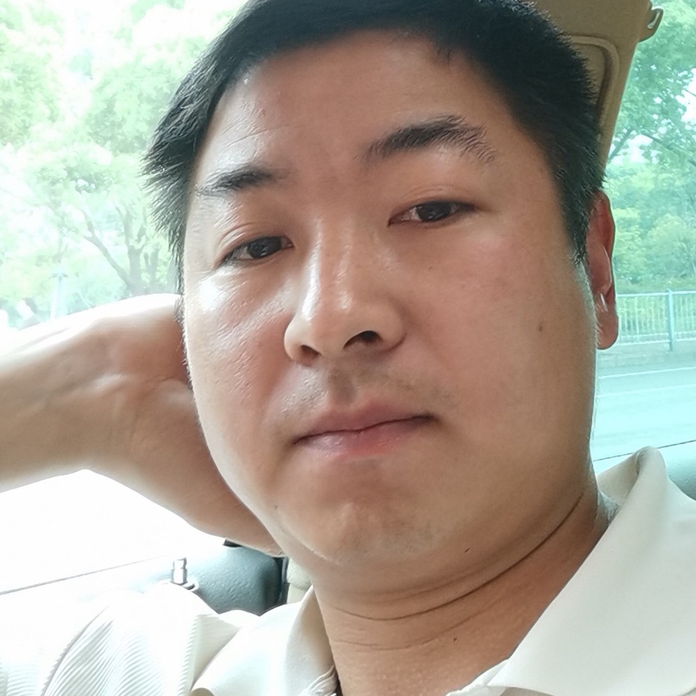 幽默的仙人球的照片