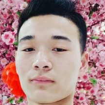 惊鸿丰富的照片