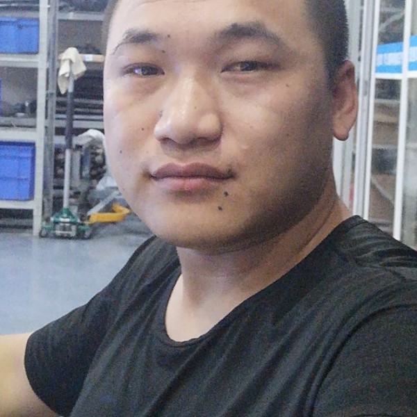 老实和太阳的照片