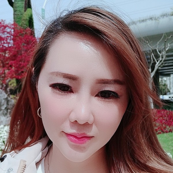 刺猬迷人的照片