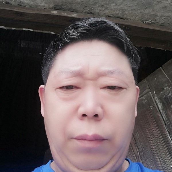 蜻蜓浅吻玩命的照片