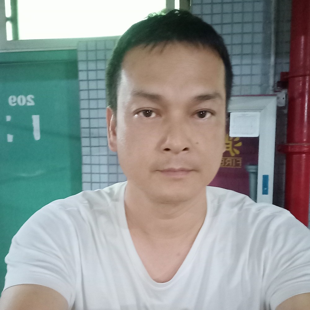 太阳多么痴情的照片