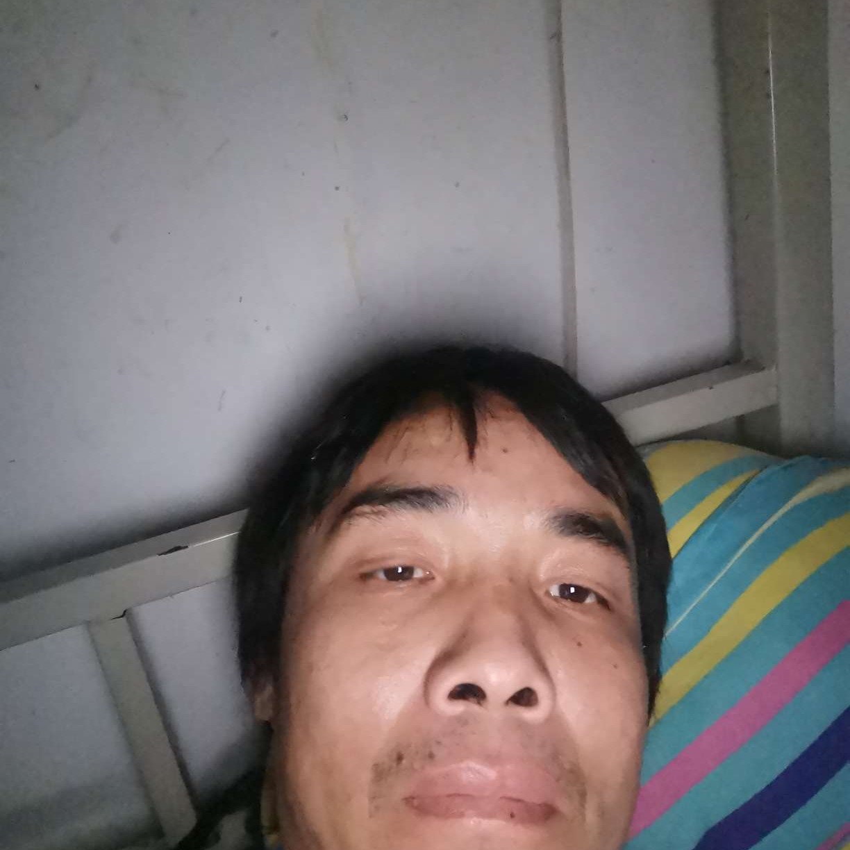 呆萌停止胡萝卜的照片