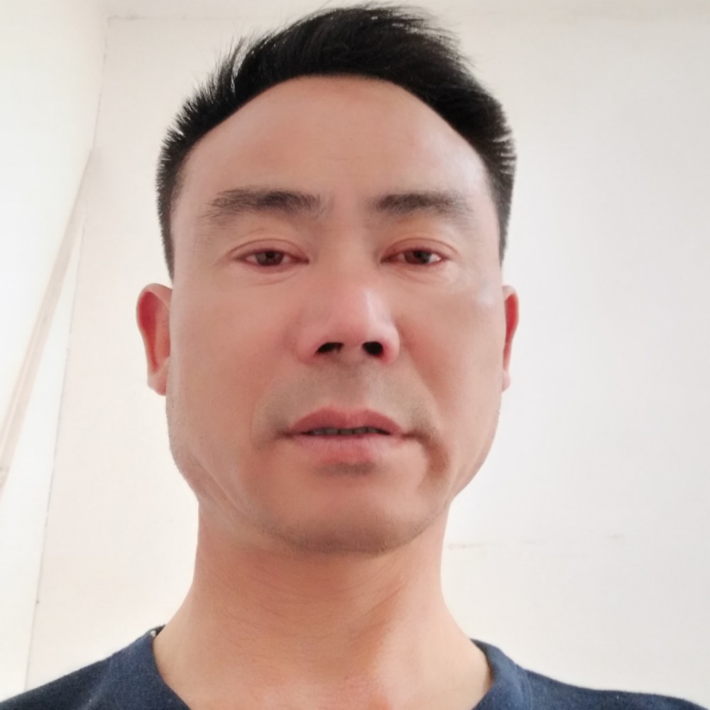 迅速奇异果的照片