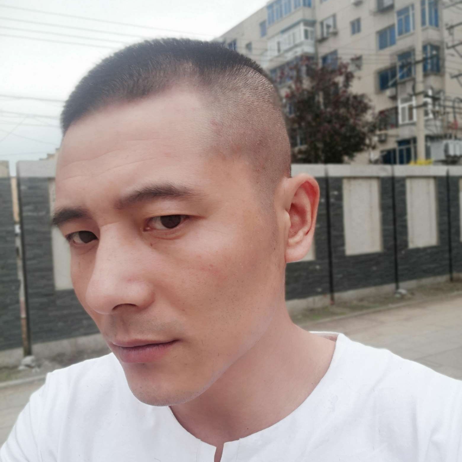 等待笑小白菜的照片