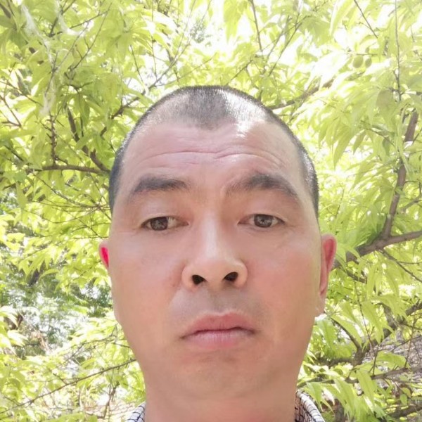 外向吐司的照片