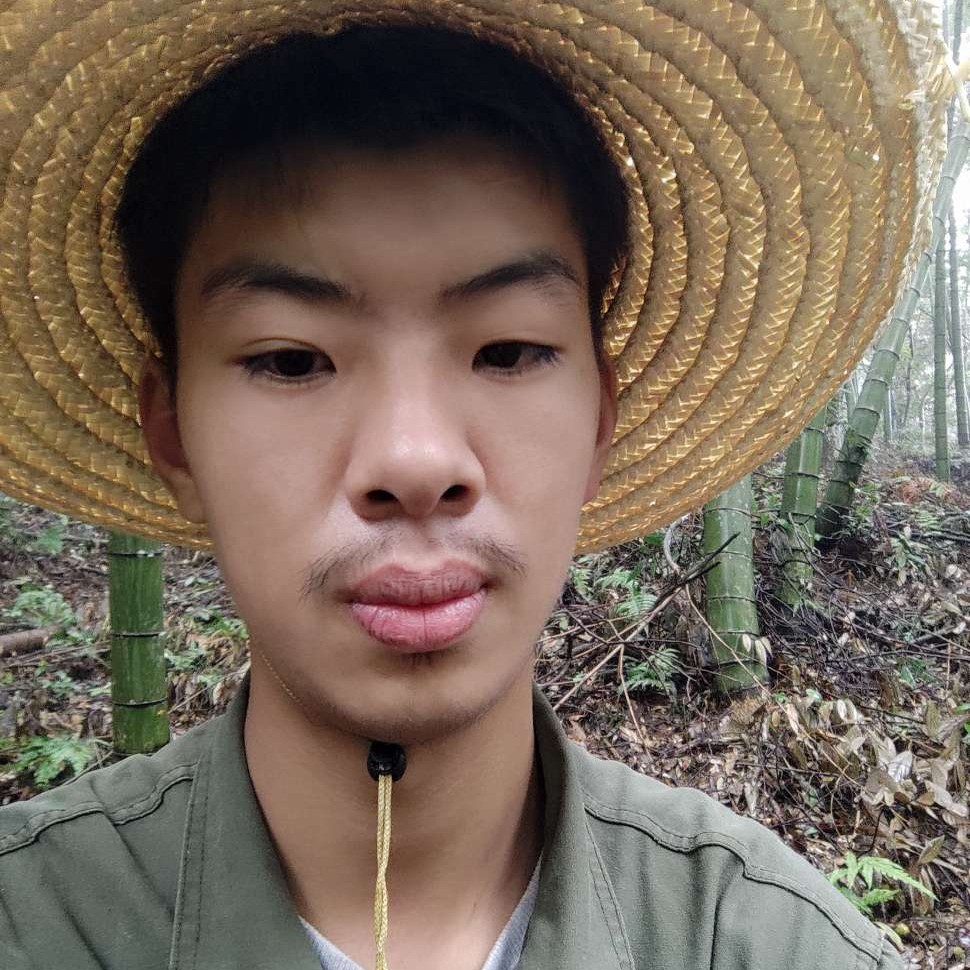 心灵美打青栀的照片