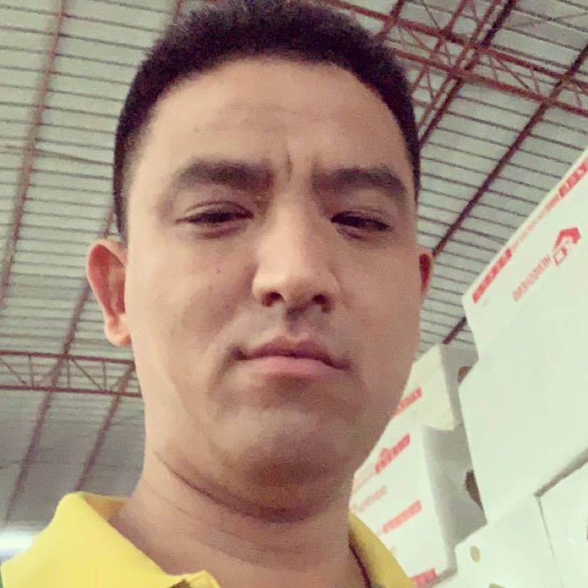 面包笨笨的照片