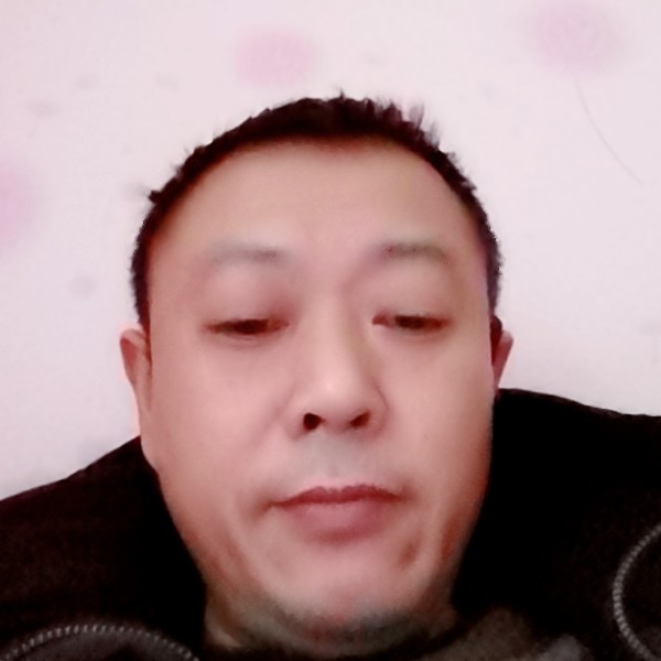 殷勤等于长颈鹿的照片