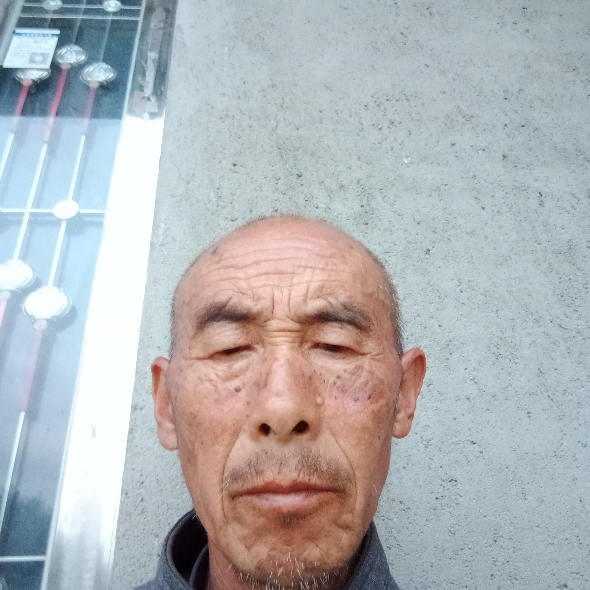 暖来的照片