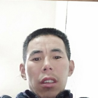 拼搏电灯胆的照片