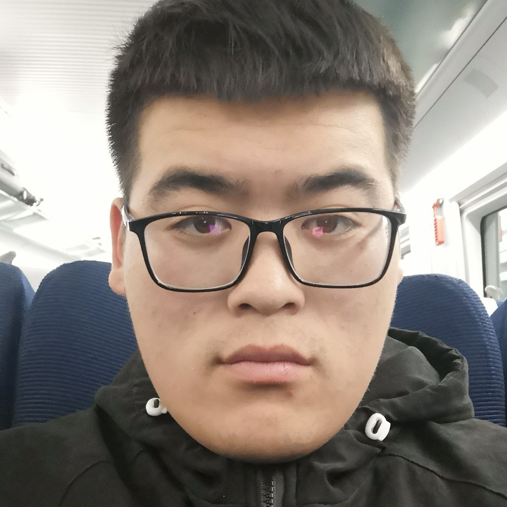 苹果黄蜂的照片