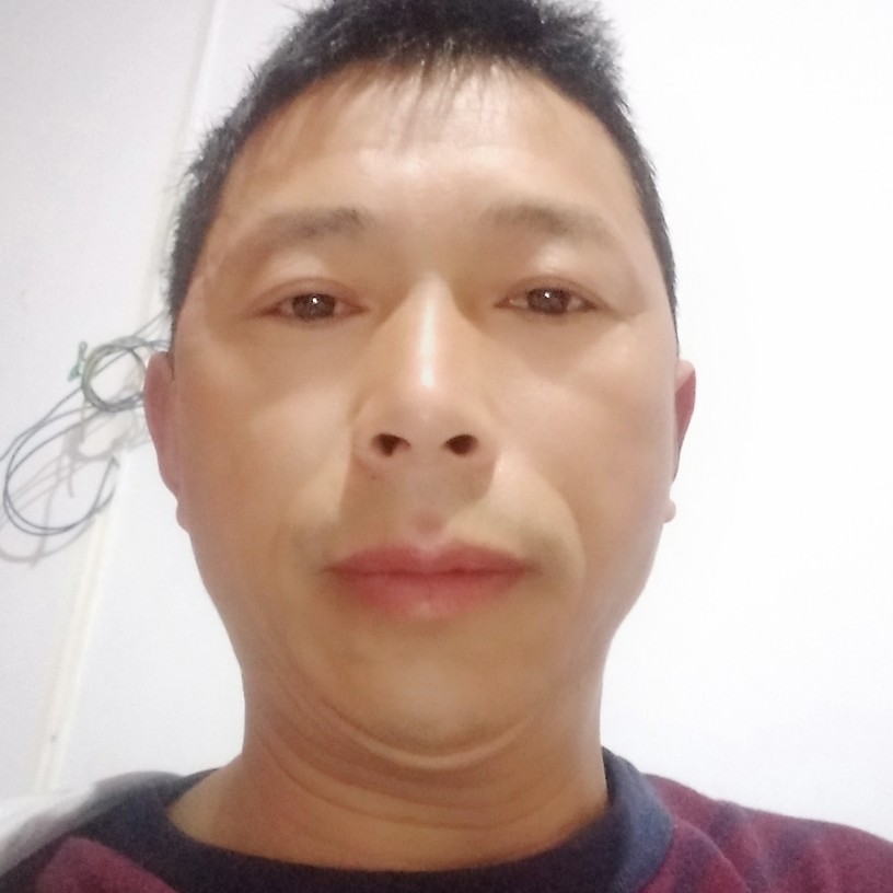 金毛爱恋欣喜的照片