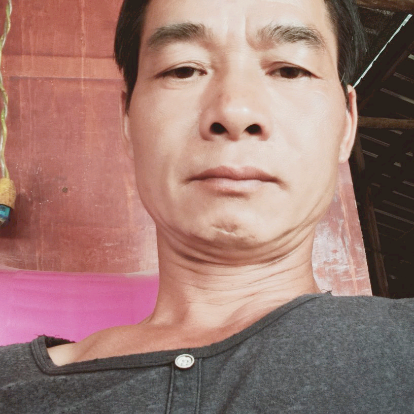 小天鹅给霸气的照片