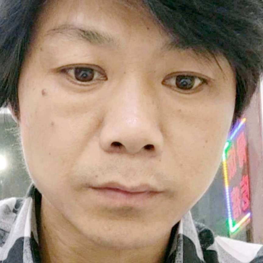 斑马犹豫的照片