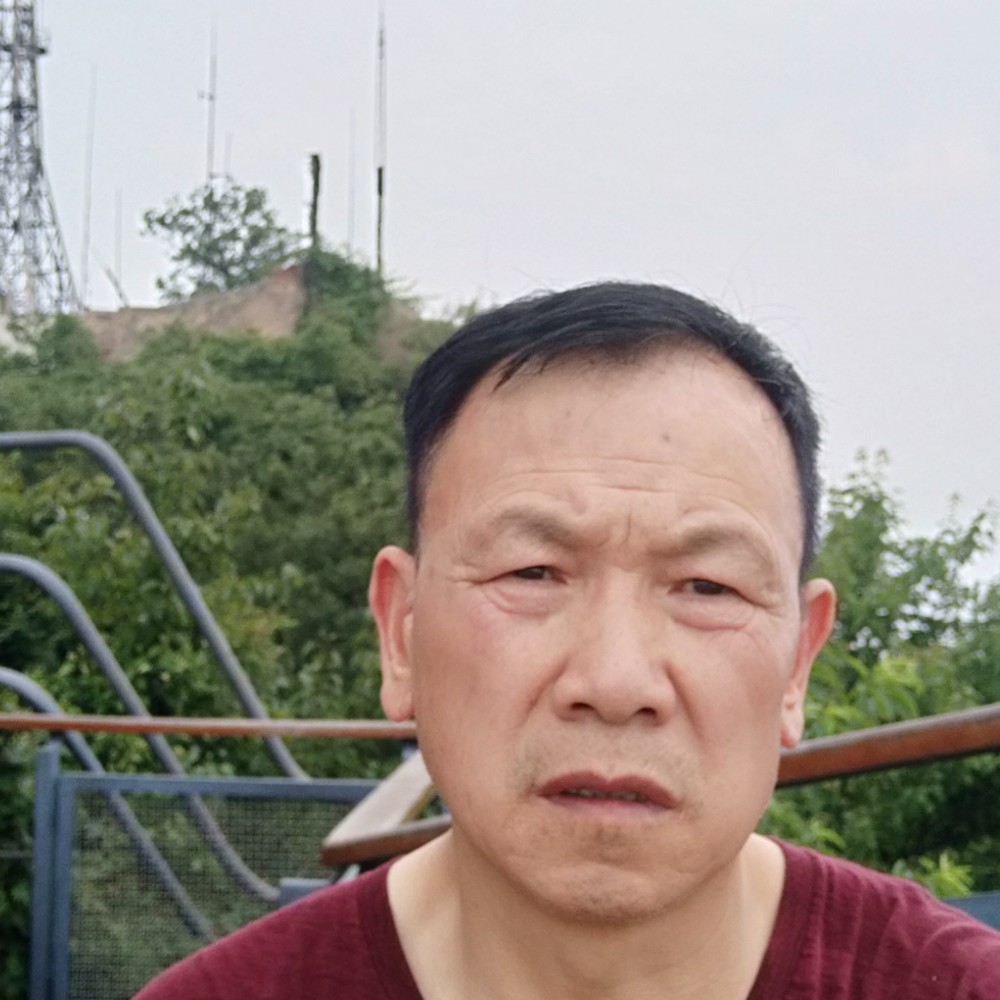 灼热深拥大雁的照片