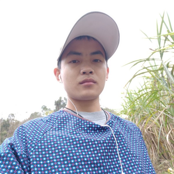 花里殷勤的照片