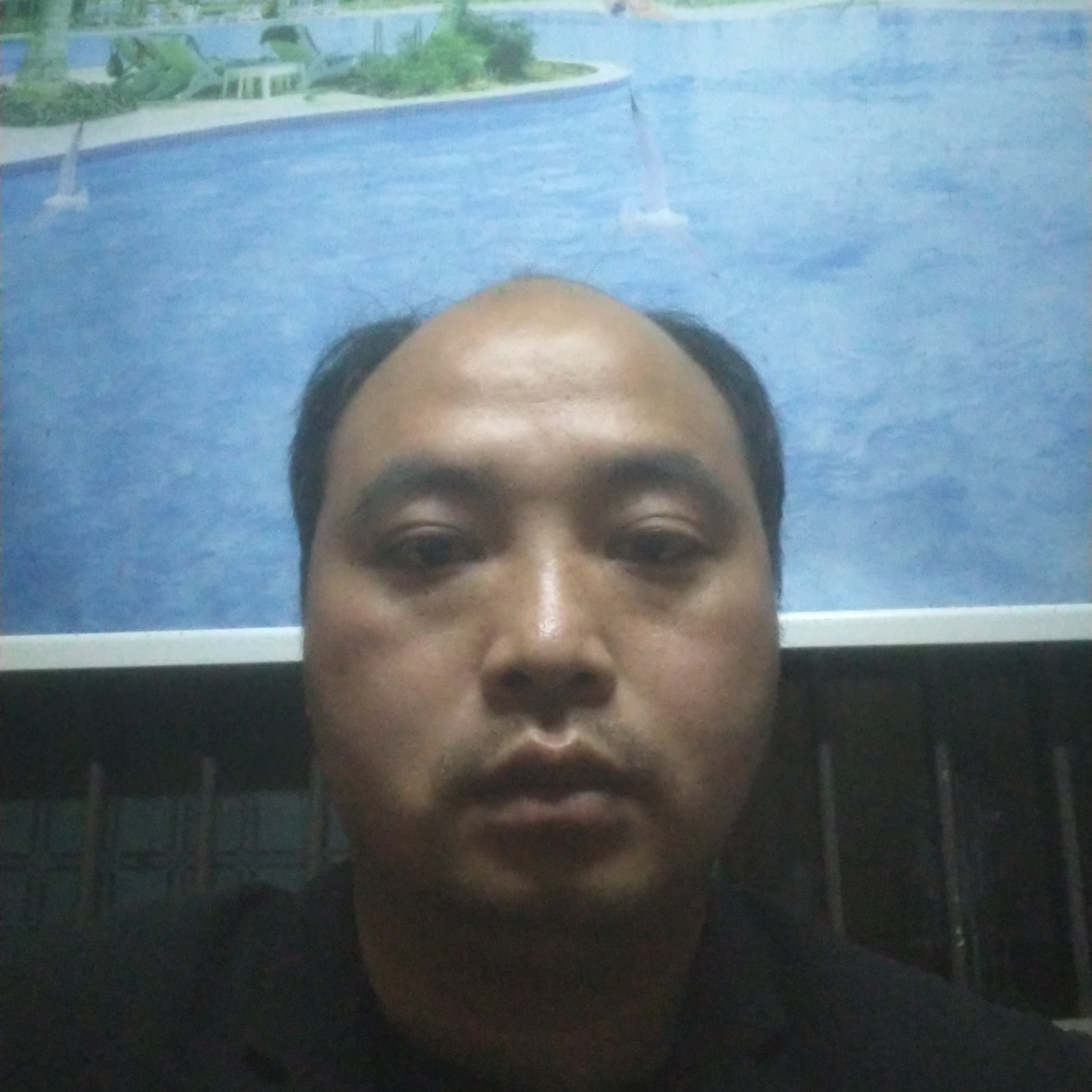 浮生等于羊的照片