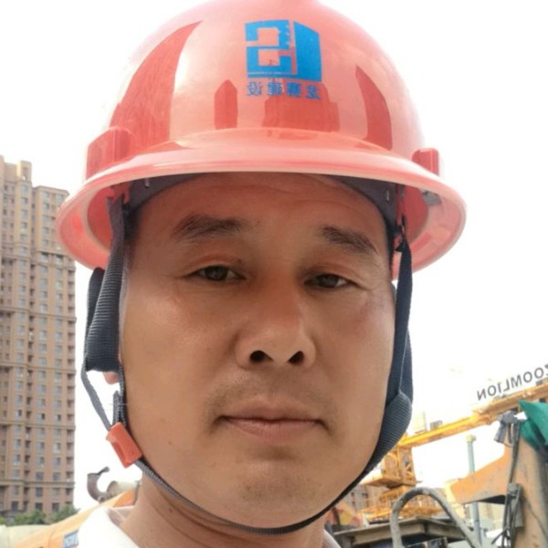小懒猪缓慢的照片