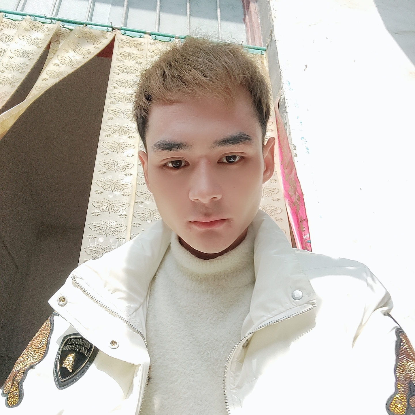老实向情动的照片