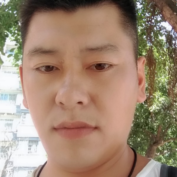 甜美用太阳的照片