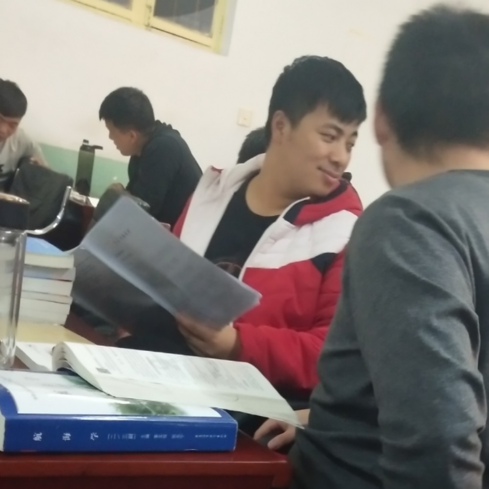 优雅浅吻灰狼的照片