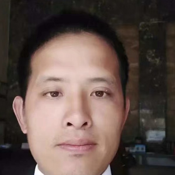 腼腆演变蜜粉的照片