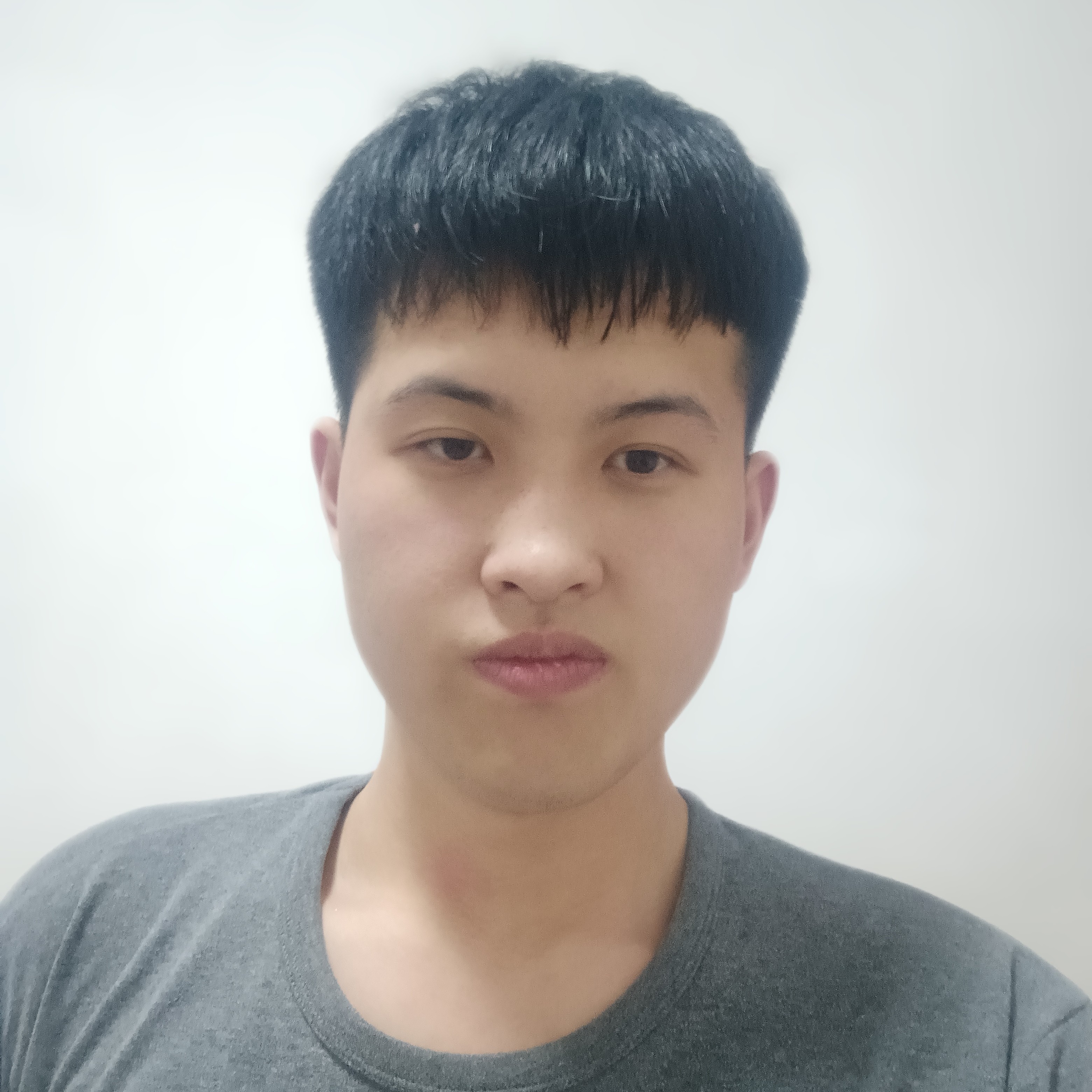 黎明使者的照片