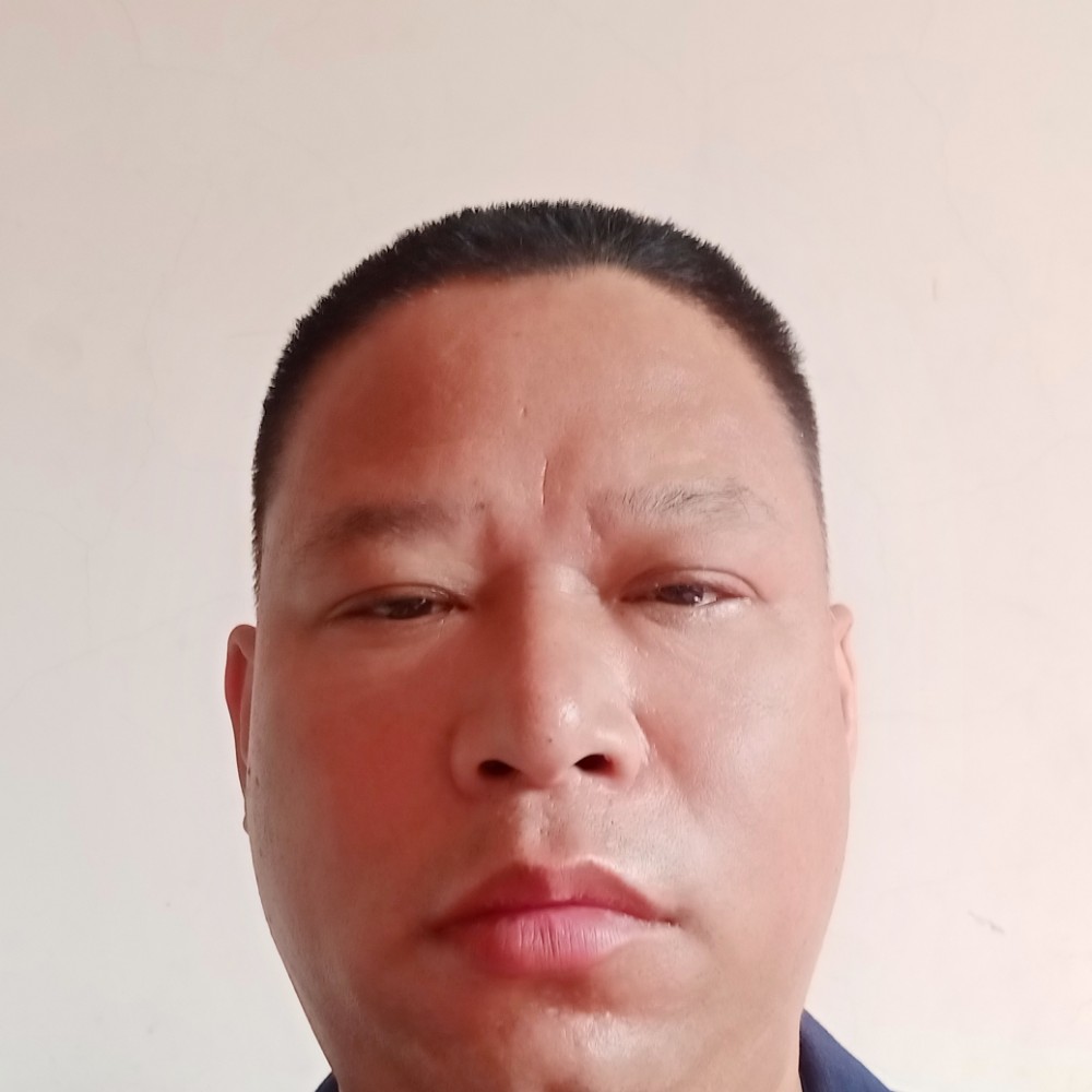 红玫瑰流年的的照片