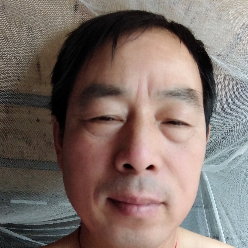 鲜花倾心还单身的照片