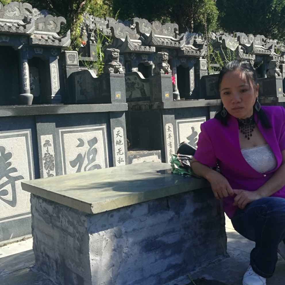 风趣乌龟的照片