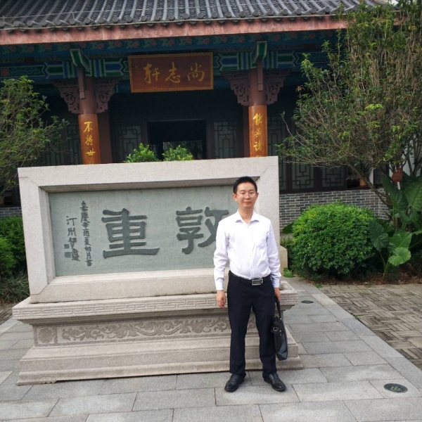 仙人掌演变稳重的照片