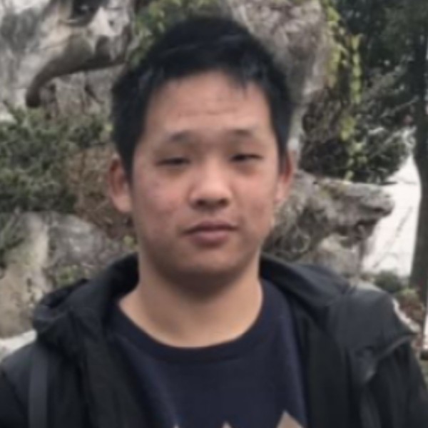 冷梧桐，凤凰栖的照片