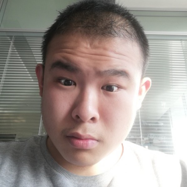 张鹏展翅的照片