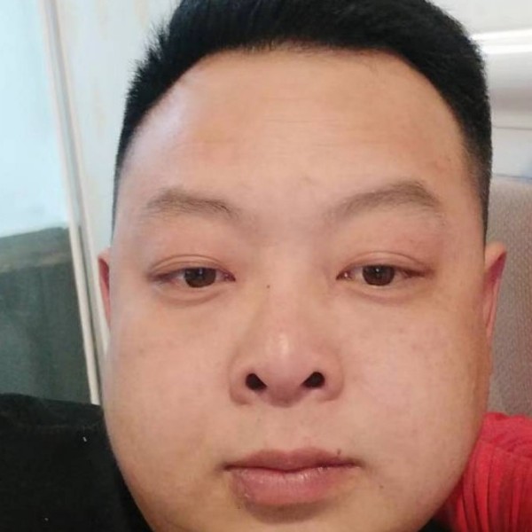 羽毛有翩飞的照片