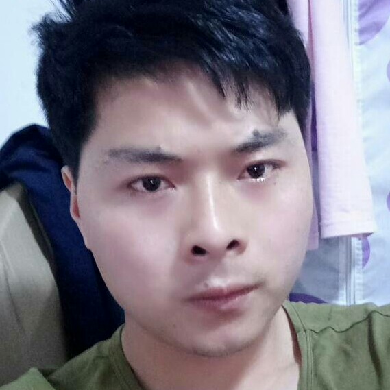 独寂迎春媱的照片