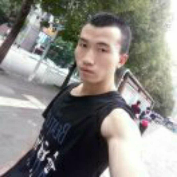 蜜蜂多么妩媚的照片