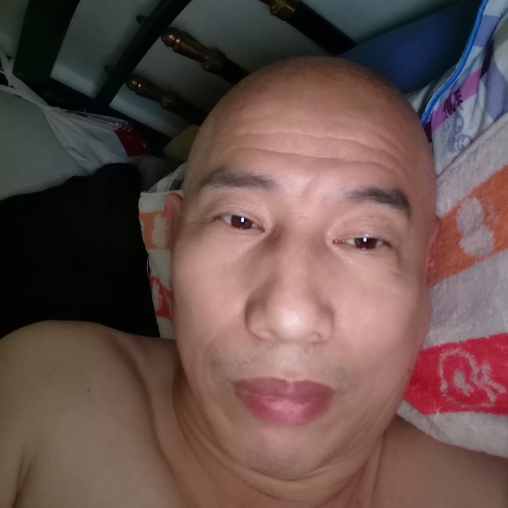 对视的蒙蒙的照片