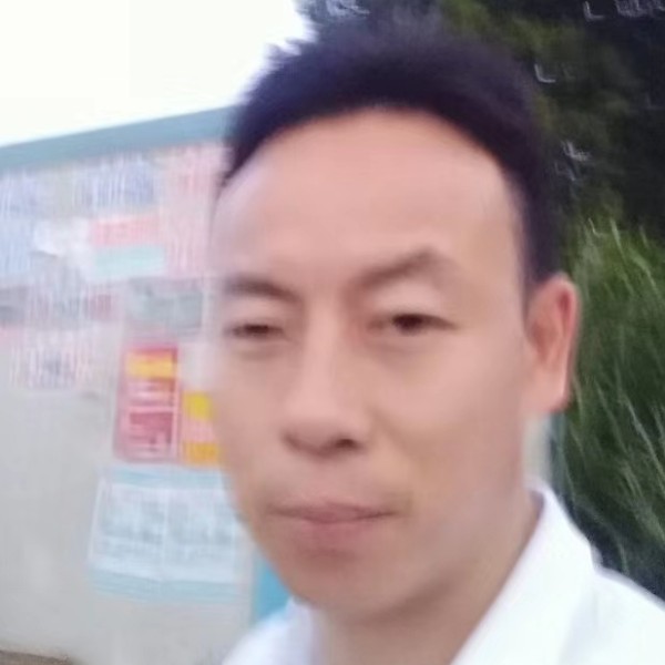 流浪的孤雁。的照片