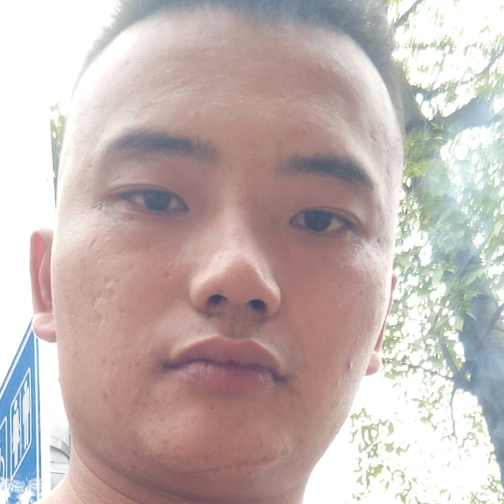 向日葵演变长情的照片