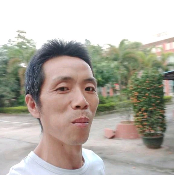 传统用蛋挞的照片
