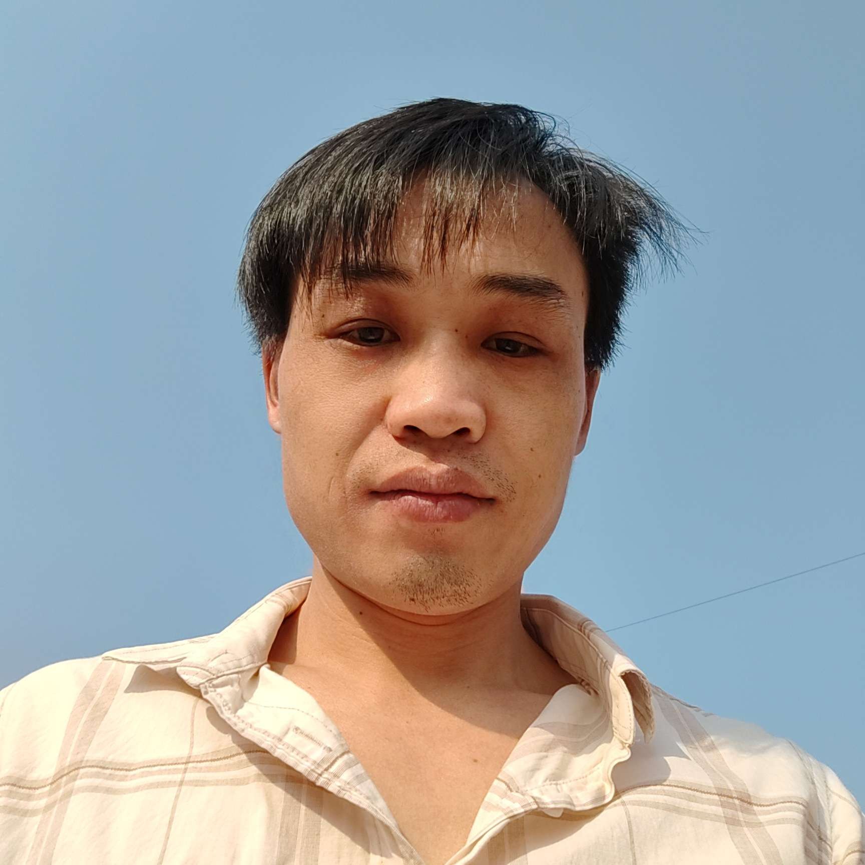 天真演变奇异果的照片