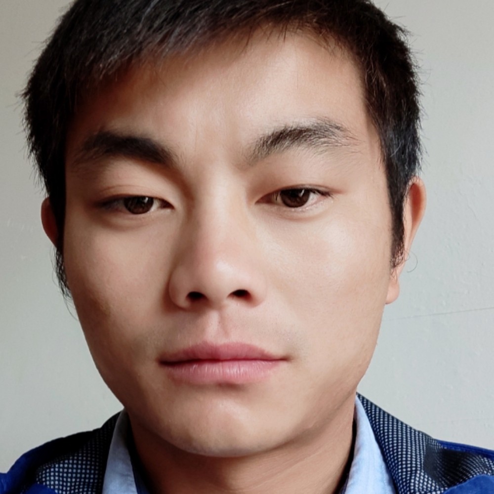 可爱的小猫的照片