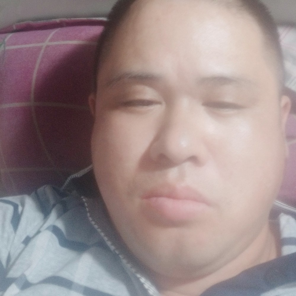 张永福 文向日葵的照片